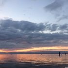 Régate au coucher de soleil - Maxilly sur Léman