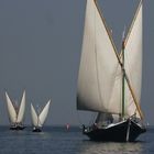 Régate des barques à voiles latine sur le Léman