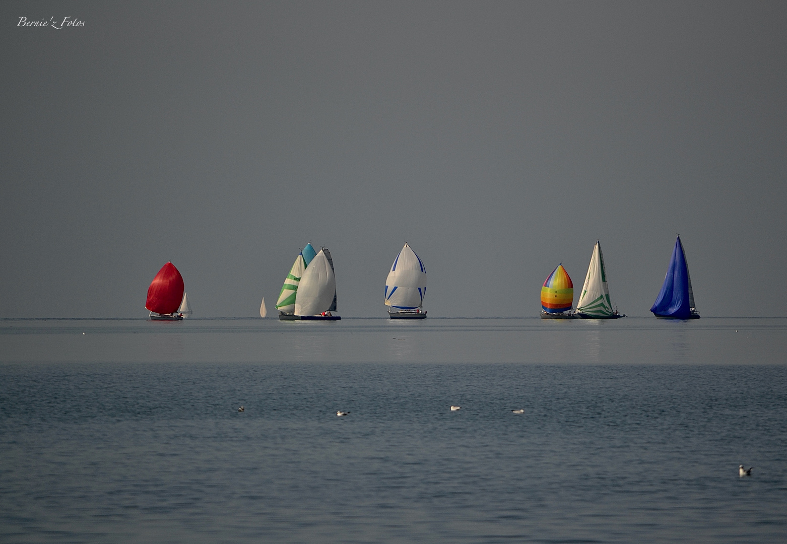 Régate sur le lac de Genève