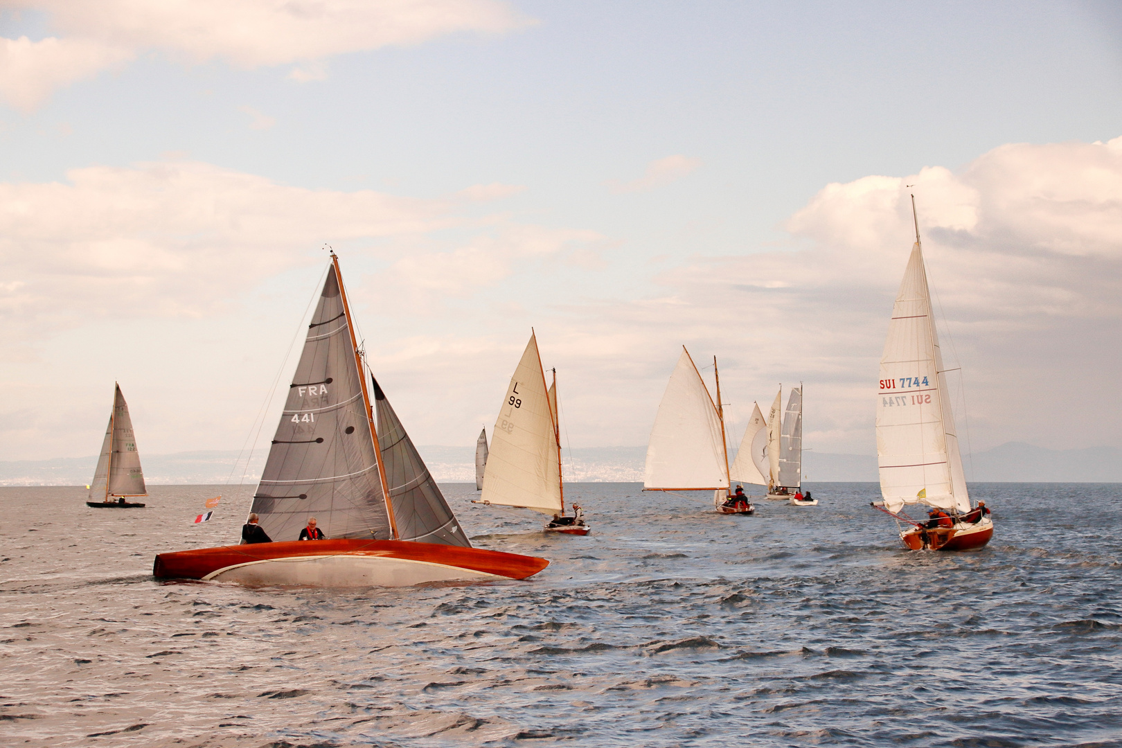 régate sur le Lac Léman