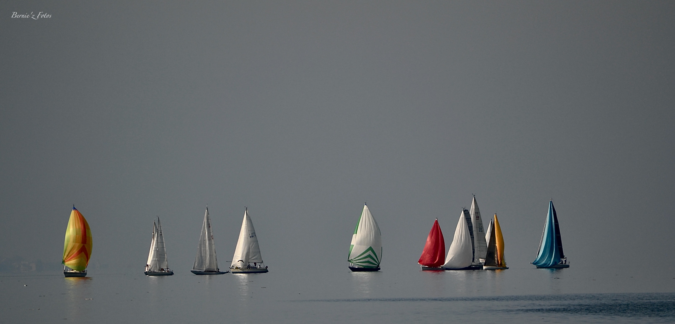 Régate sur le Lac Léman