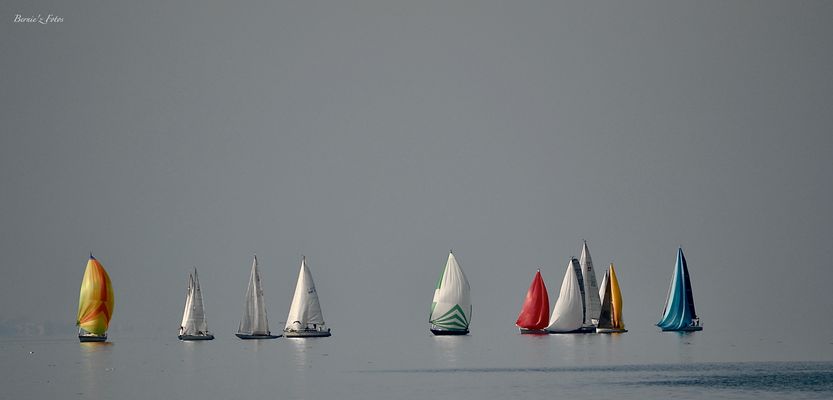 Régate sur le Lac Léman