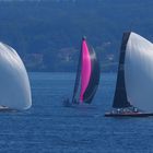 Régate sur le Léman, on sort les Spi