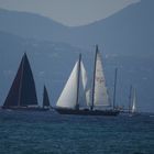 Régates royales en baie de Cannes