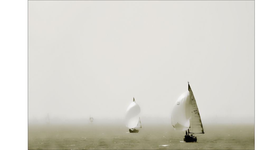 - regatta -