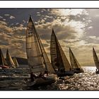 REGATTA