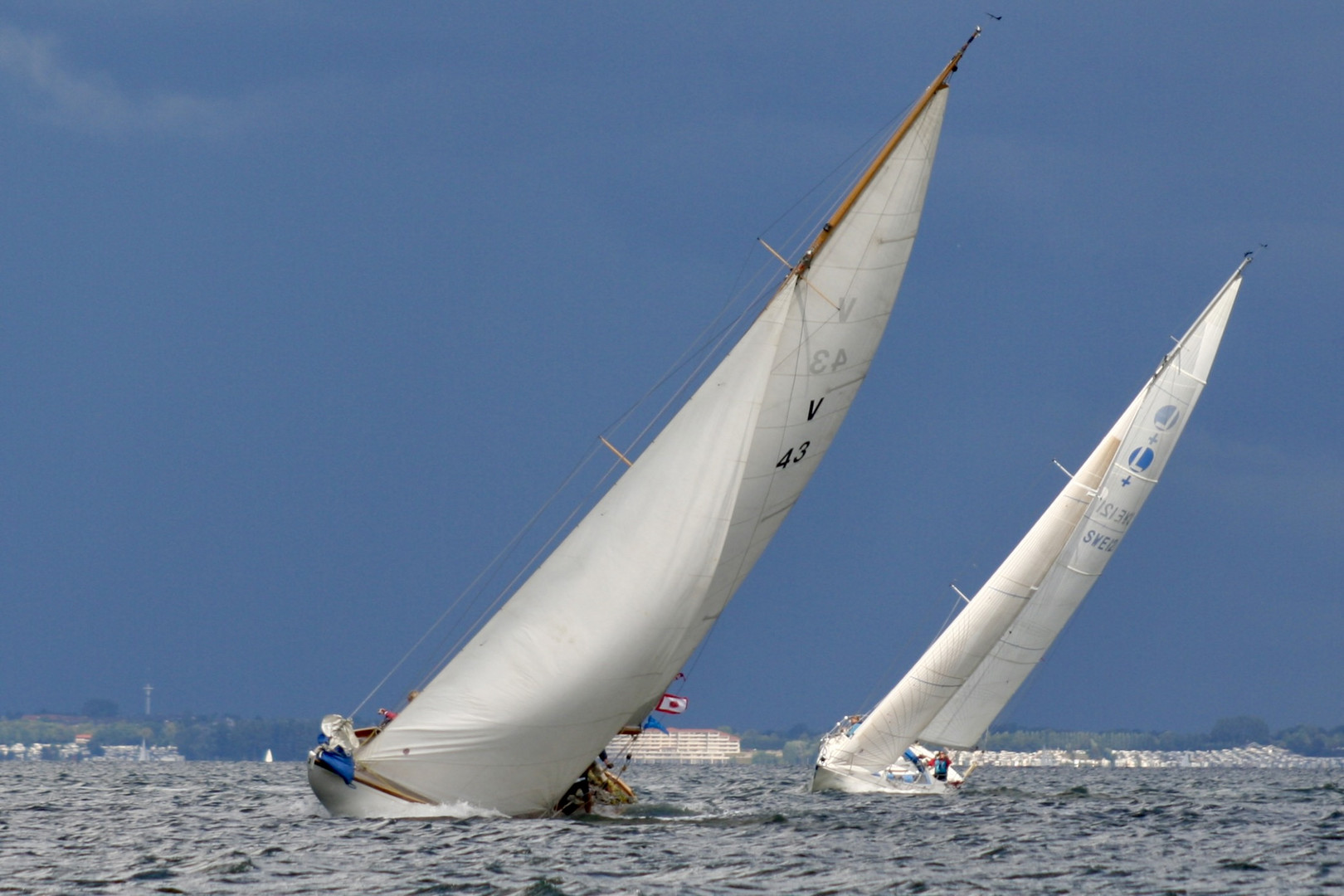 Regatta