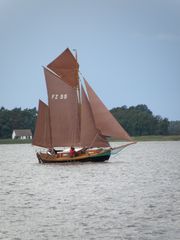 Regatta