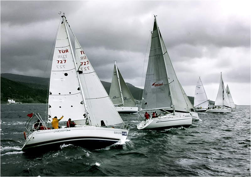 regatta