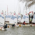 Regatta