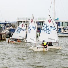 Regatta