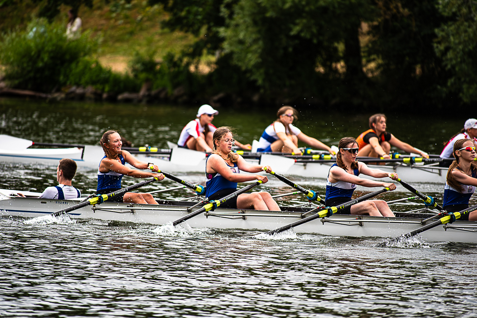 Regatta