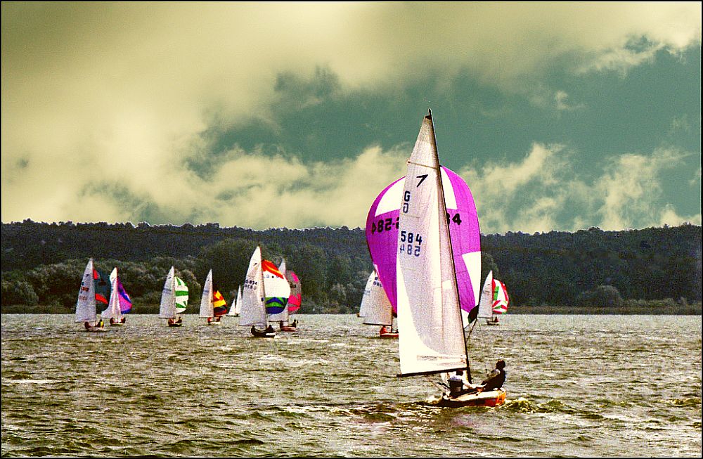 Regatta