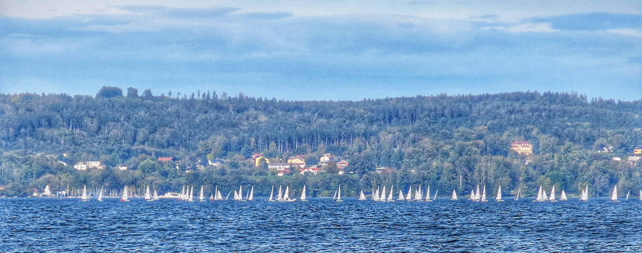 regatta