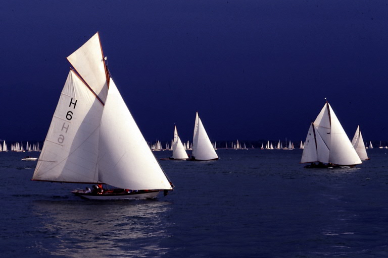 Regatta