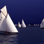 Regatta