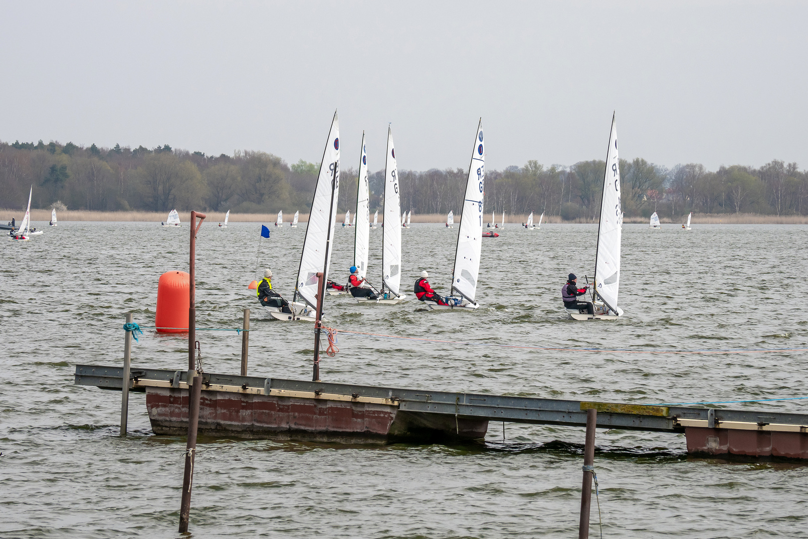 Regatta