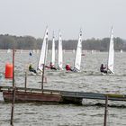 Regatta