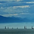 Regatta am Bodensee