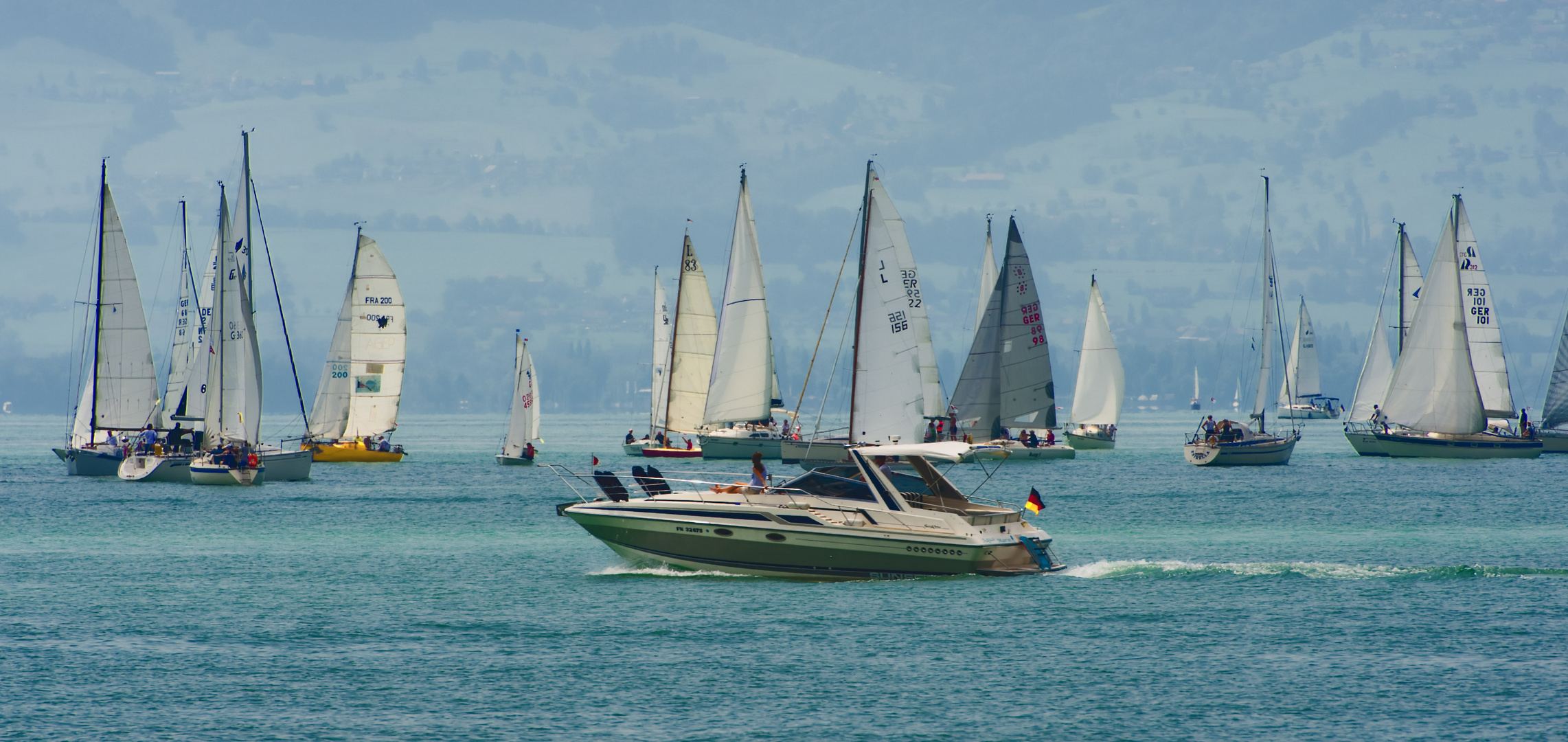 Regatta auf dem Bodensee