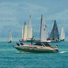 Regatta auf dem Bodensee