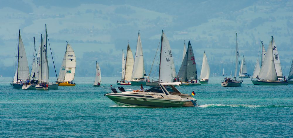 Regatta auf dem Bodensee