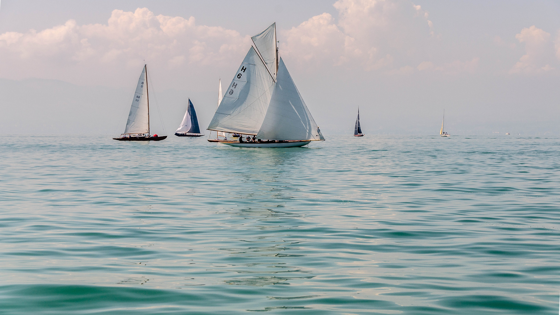 Regatta auf dem Bodensee 