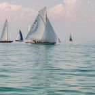 Regatta auf dem Bodensee 