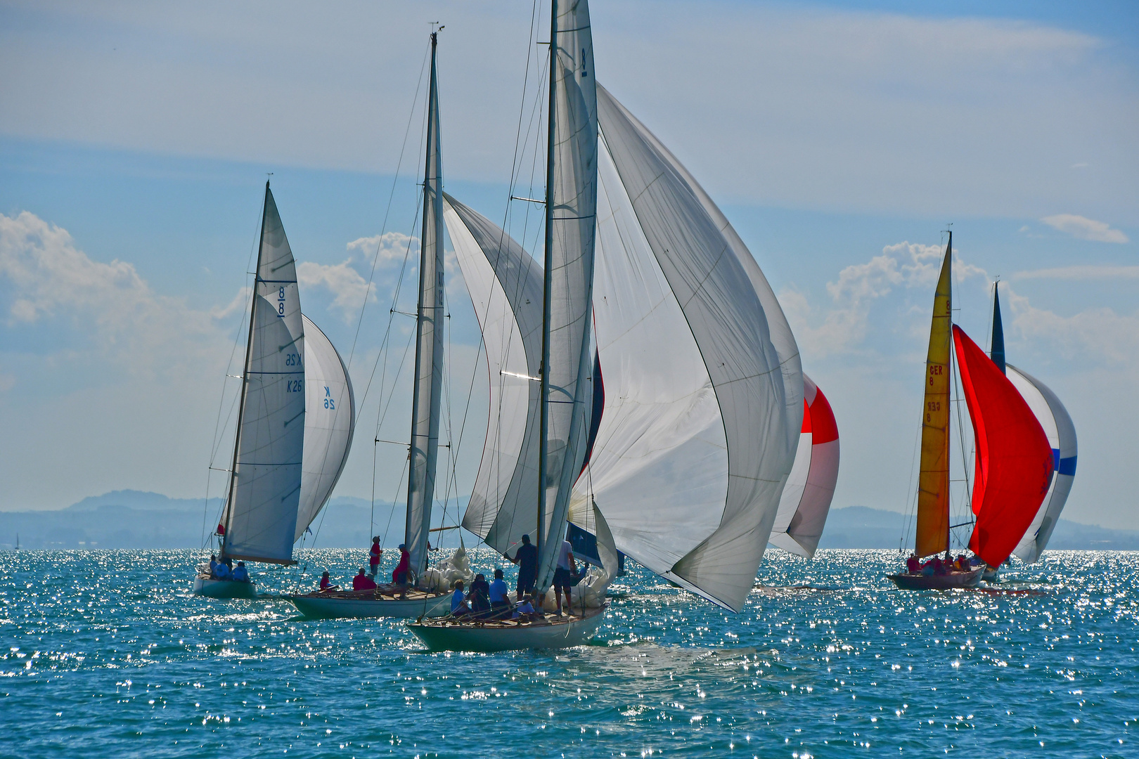 Regatta auf dem Bodensee