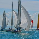 Regatta auf dem Bodensee