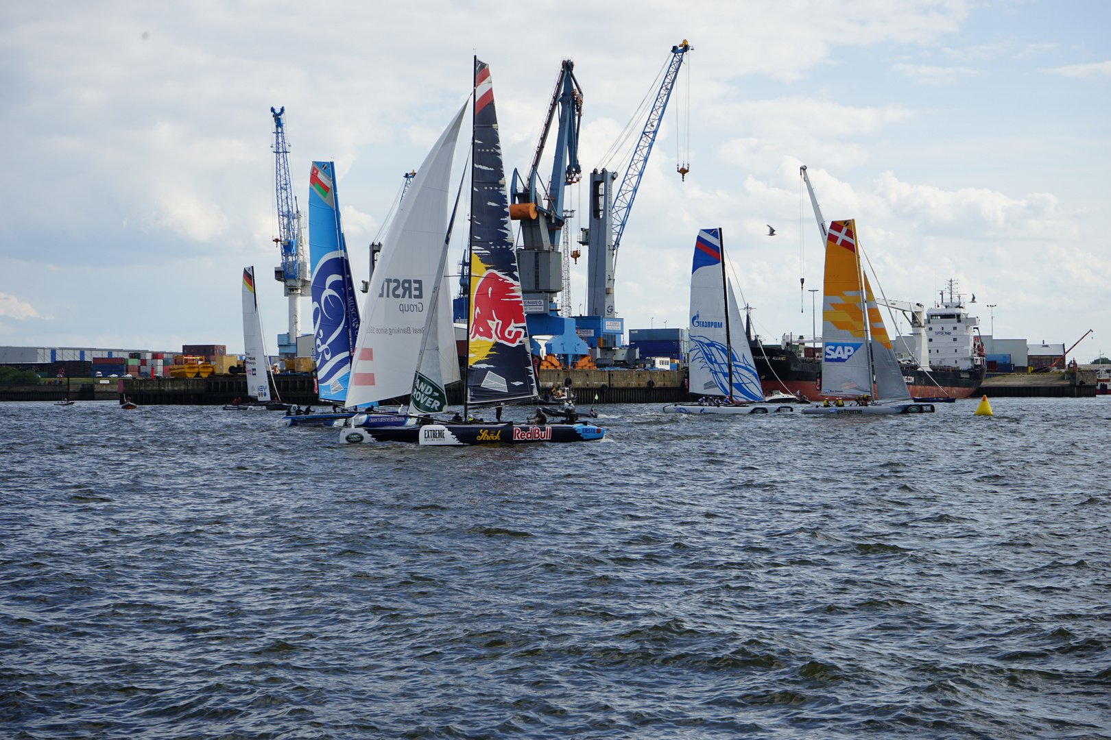 Regatta auf der Elbe