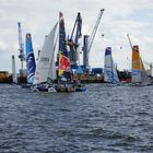 Regatta auf der Elbe