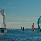 Regatta auf der Elbe