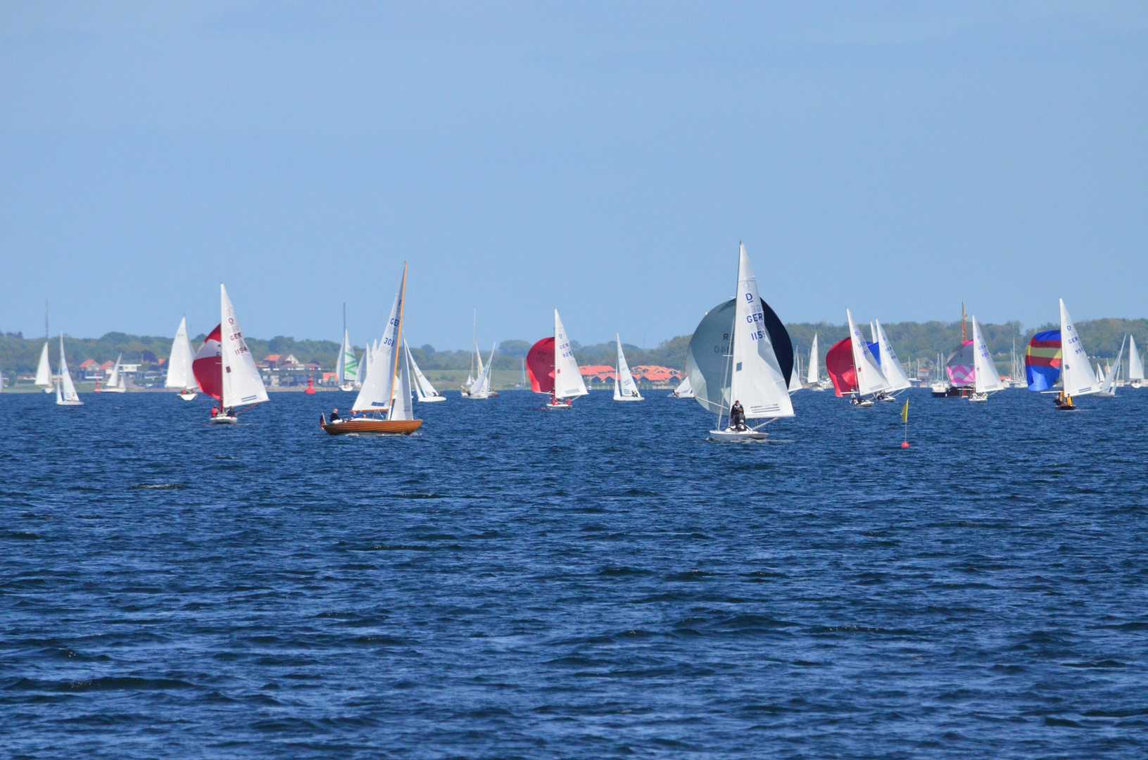 Regatta auf der Förde