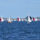 Regatta auf der Förde