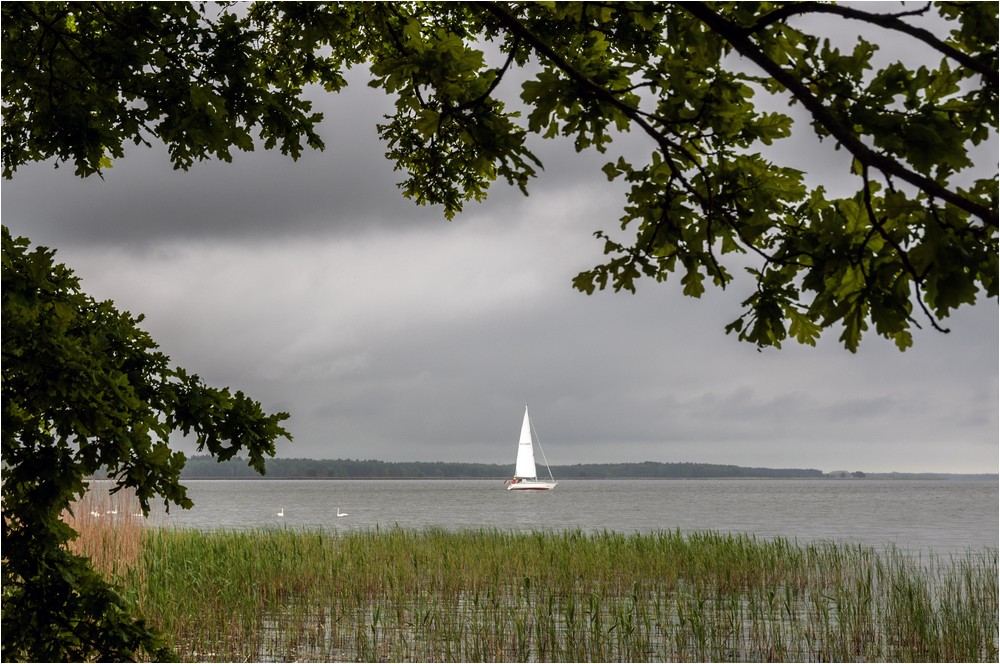 Regatta bei Nieselregen ...