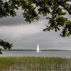 Regatta bei Nieselregen ...