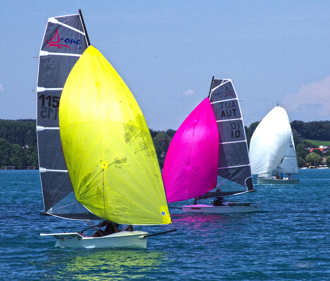 regatta d one