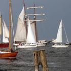 Regatta