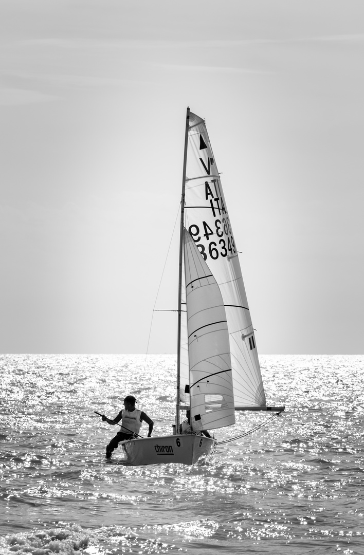 Regatta