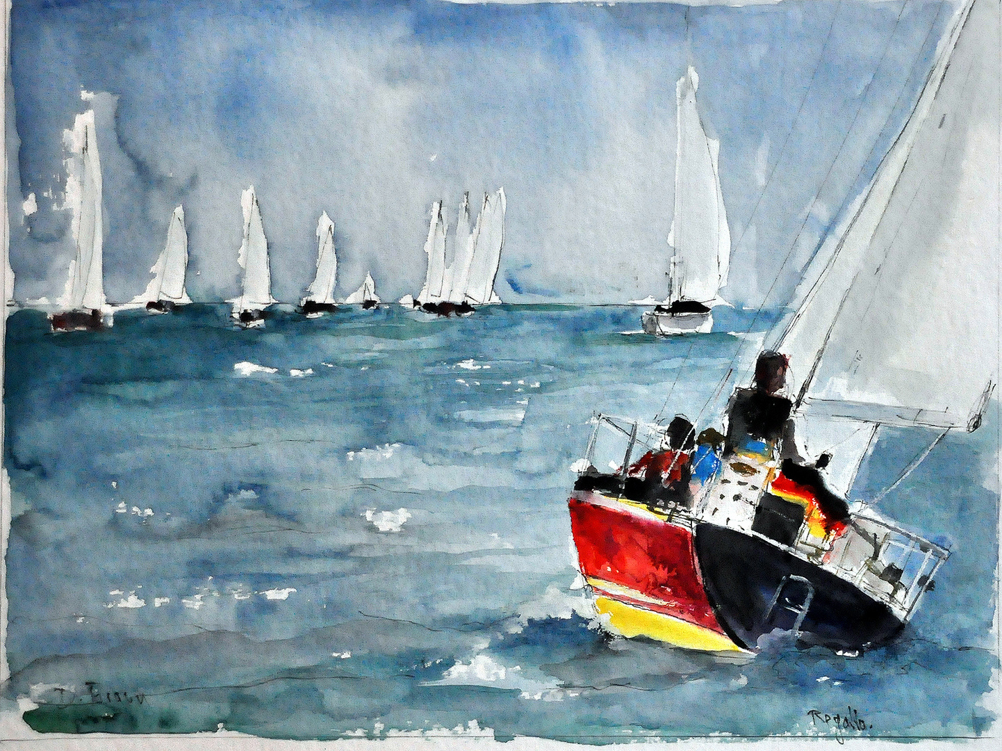 Regatta