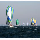 - Regatta - Danke für diese Rubrik -