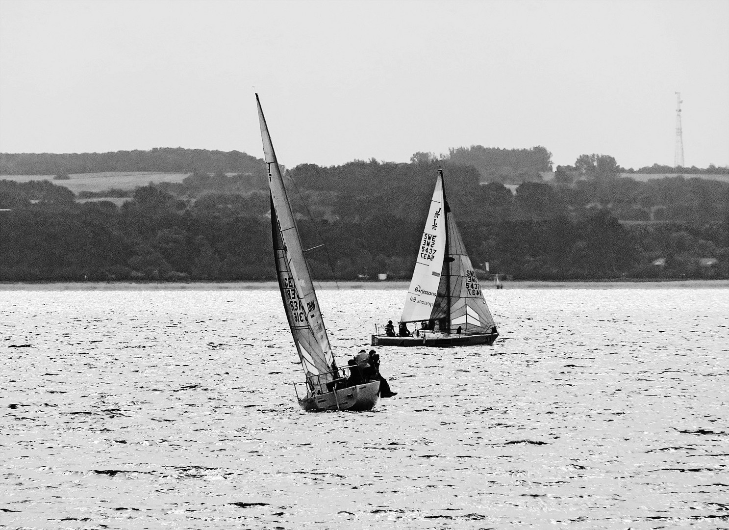 Regatta der Kleinen