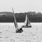 Regatta der Kleinen