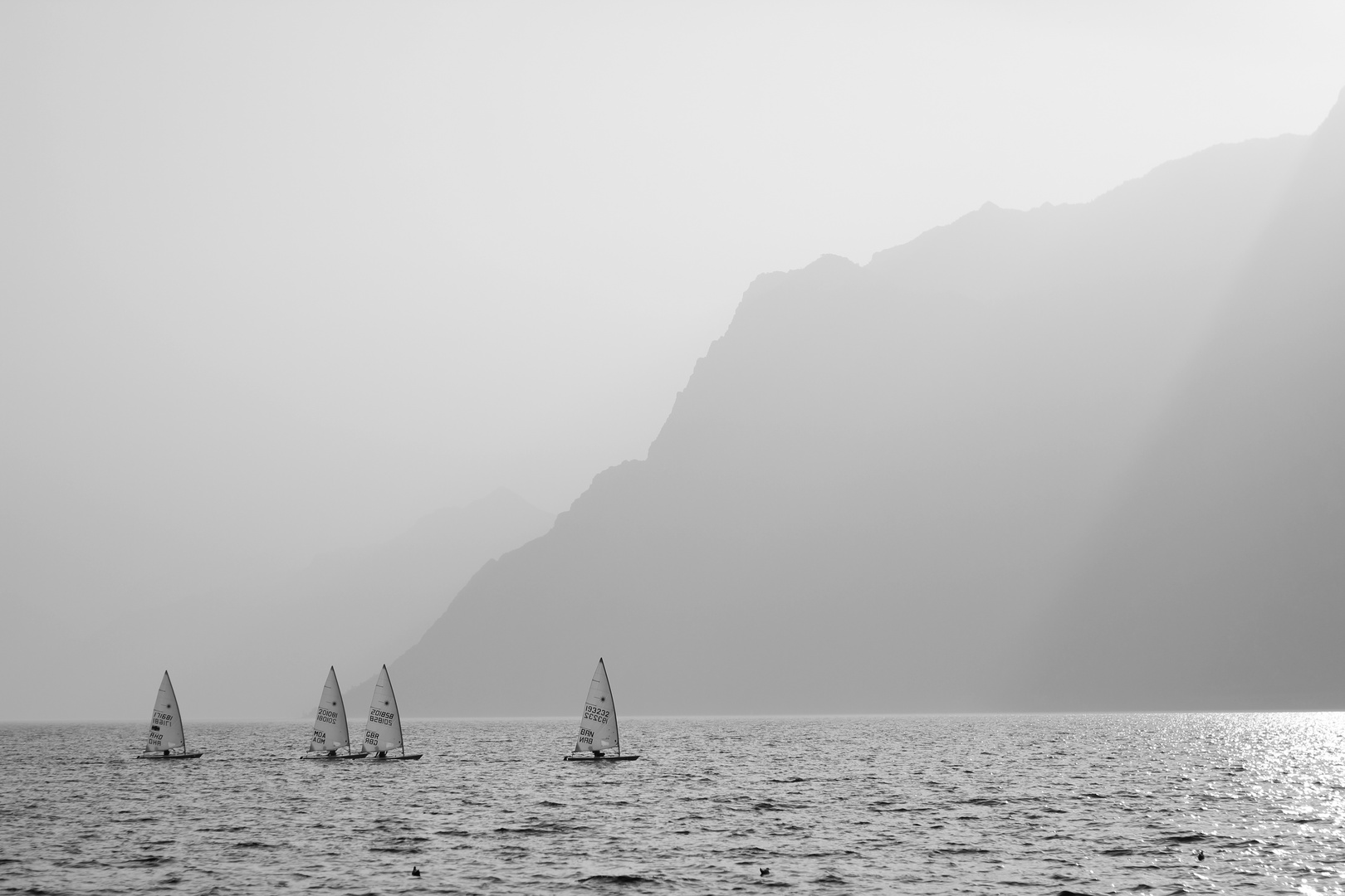 Regatta di Garda