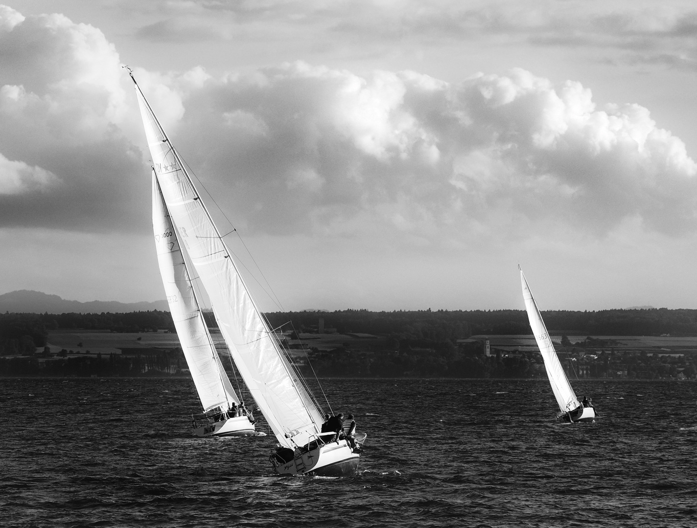 Regatta   