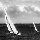 Regatta   