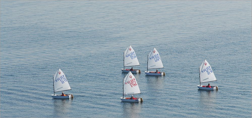 Regatta