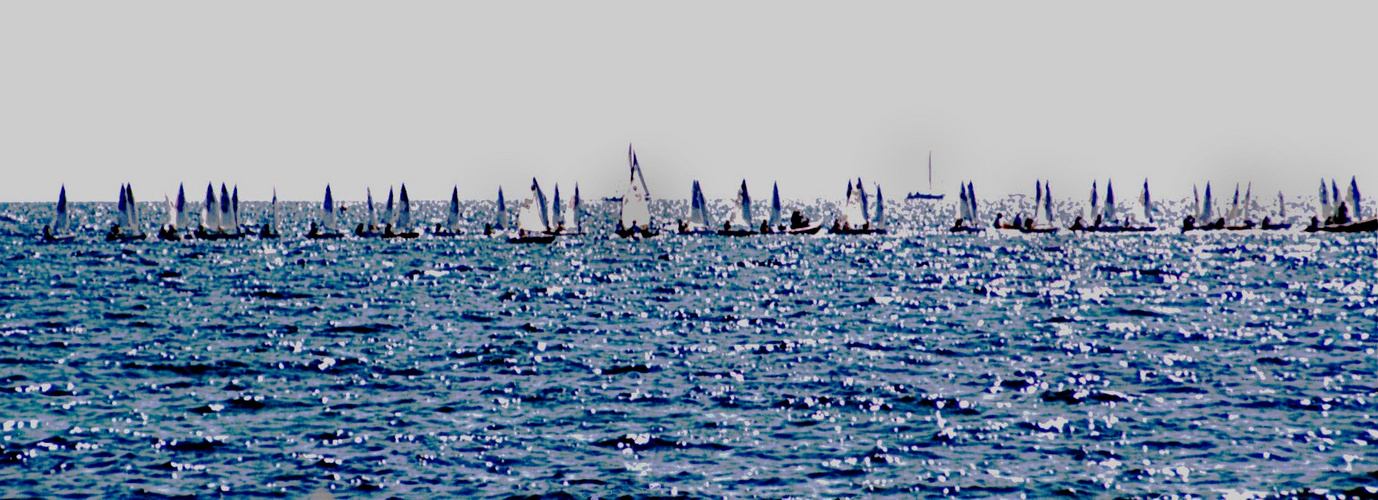 REGATTA - Formation oder Manipulation vor dem Start