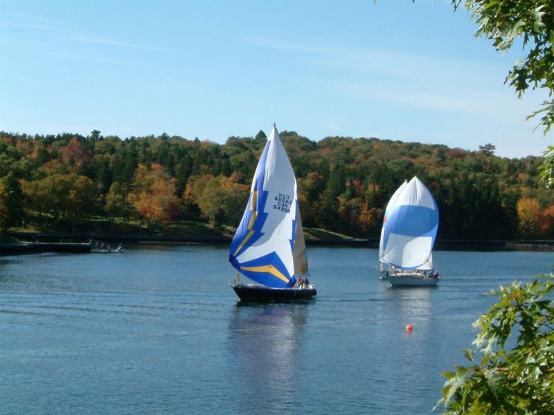 Regatta im Herbst